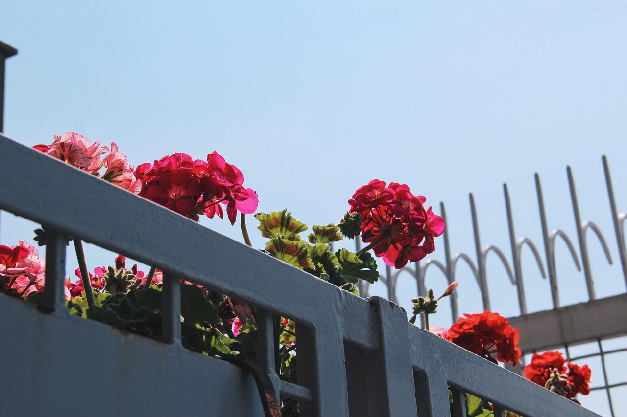 Santa Clara Bed & Breakfast Napoli Dış mekan fotoğraf